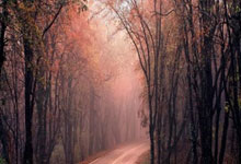 开云体育平台APP-圣詹姆斯公园奇迹夜！纽卡主场擒敌迈出复兴关键一步