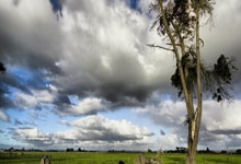 开云体育官方网站-热刺不敌对手，颓势难挽！北伦敦豪强陷至暗时刻