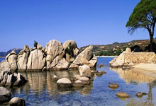 开云官网-蒙特雷备战细节频出，球队积极调整状态