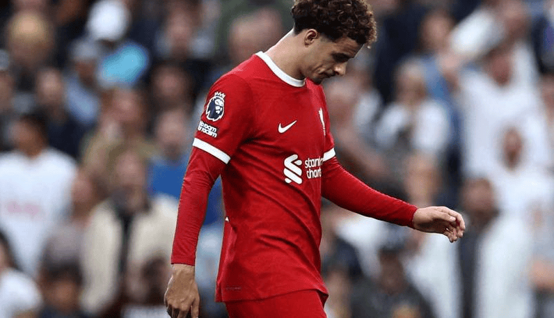 开云体育下载-利物浦客场奋力捍卫，力克富勒姆夺得三分的简单介绍