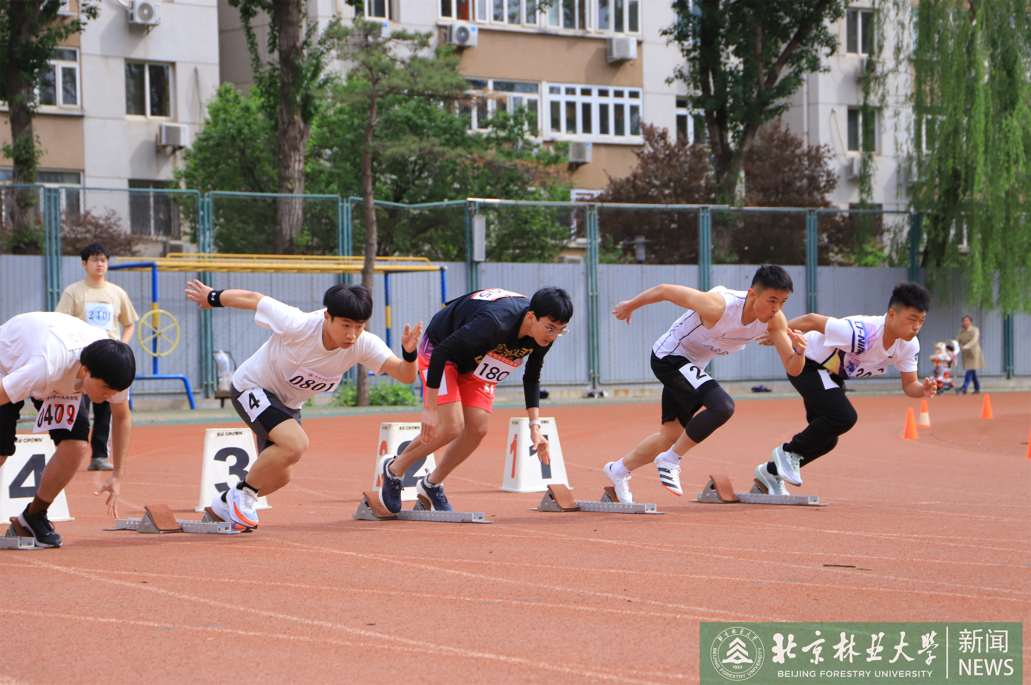开云体育在线-顶级对抗！体育盛事将呈现出何种风采