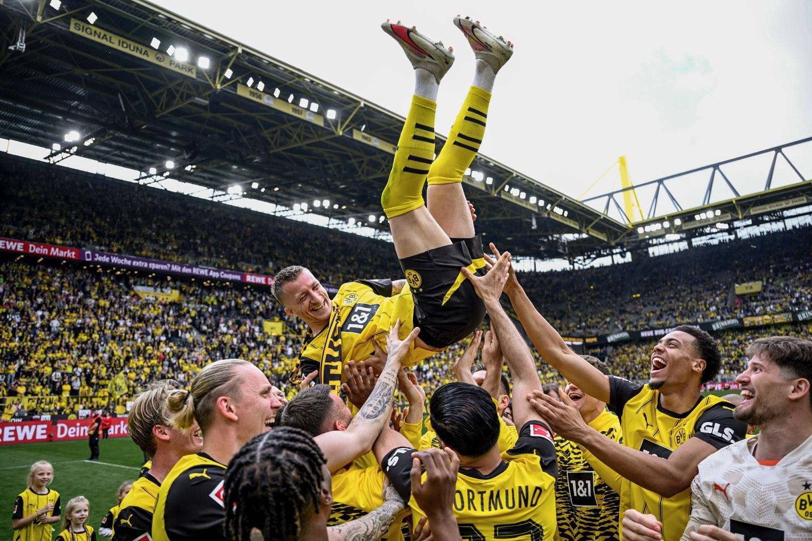 开云体育官网-墨西哥篮球超级联赛：蒙特雷队夺冠