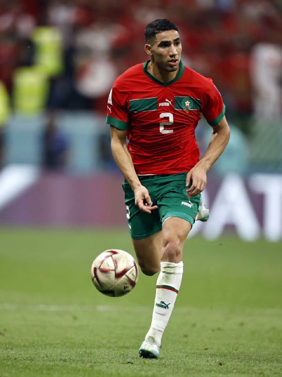 开云下载-摩洛哥主帅下课，球队遗憾无缘晋级的简单介绍