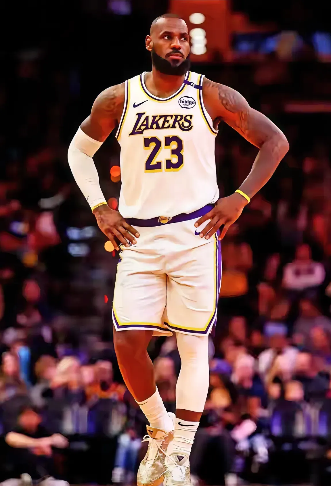 诺维斯基詹皇就是历史上最棒的球员的简单介绍 诺维斯基詹皇就是历史上最棒的球员的简单介绍