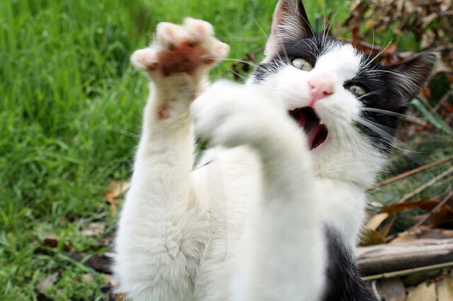 逆境之光,当NBA钢铁洪流碰撞巴萨绝境神话