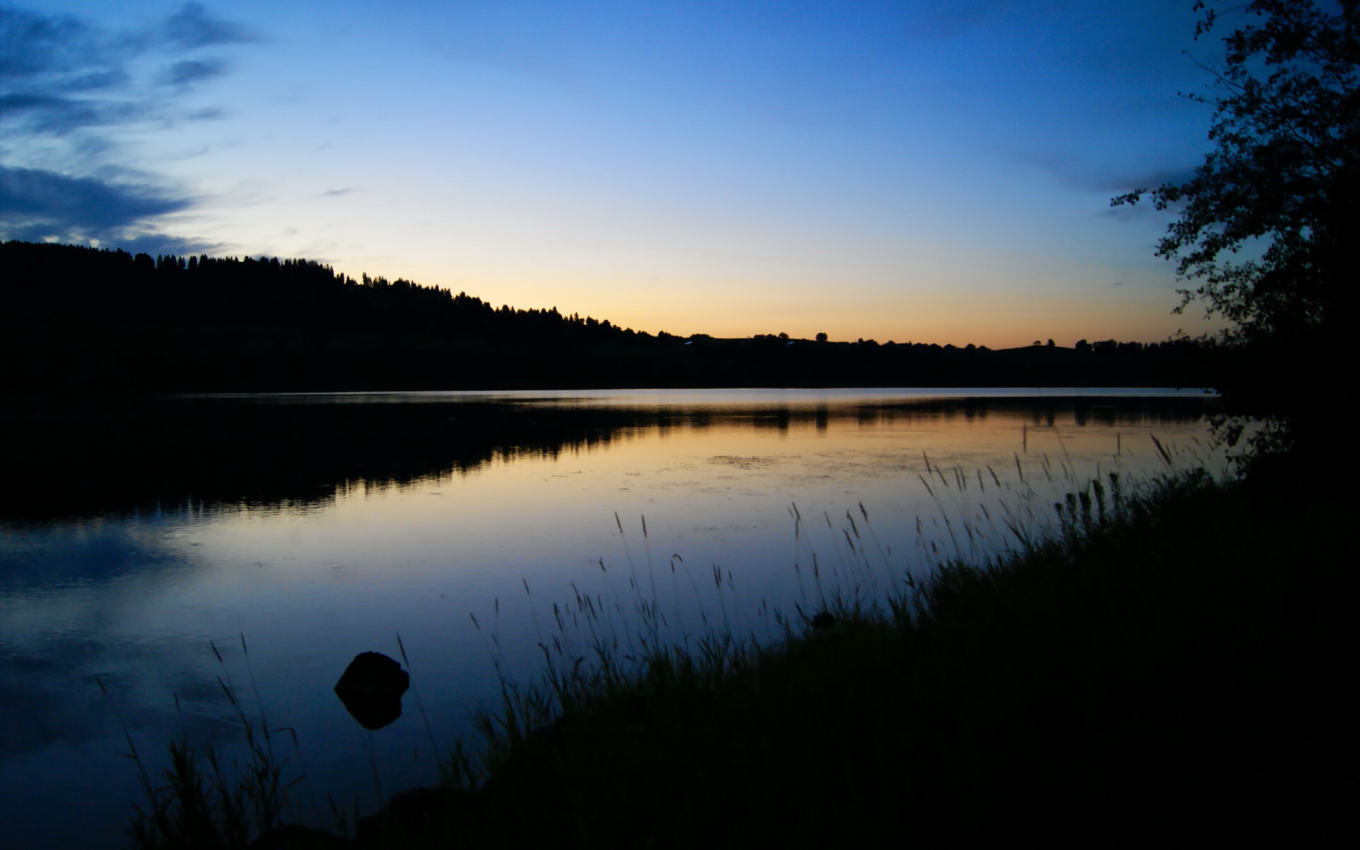 孙铭徽46分怒吼破天！抢七生死战，广厦绝境带走篮网