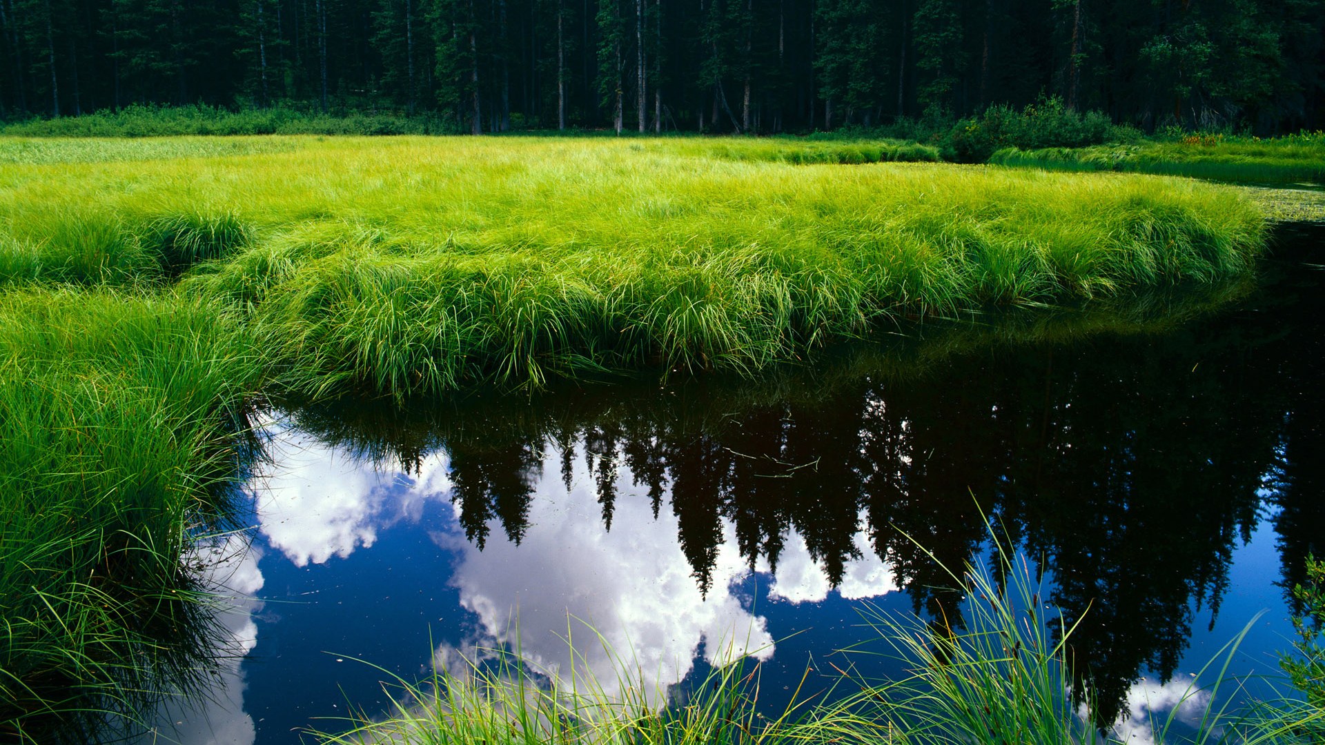 恩比德关键时刻定乾坤,火箭末节狂飙终结黄蜂