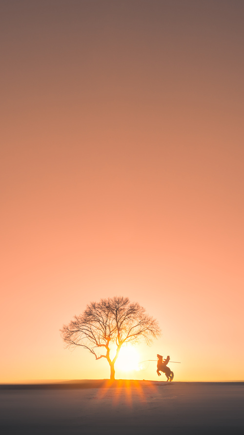 布伦森爆发助广厦队连续得分压制雄鹿，跨界对决彰显团队威力