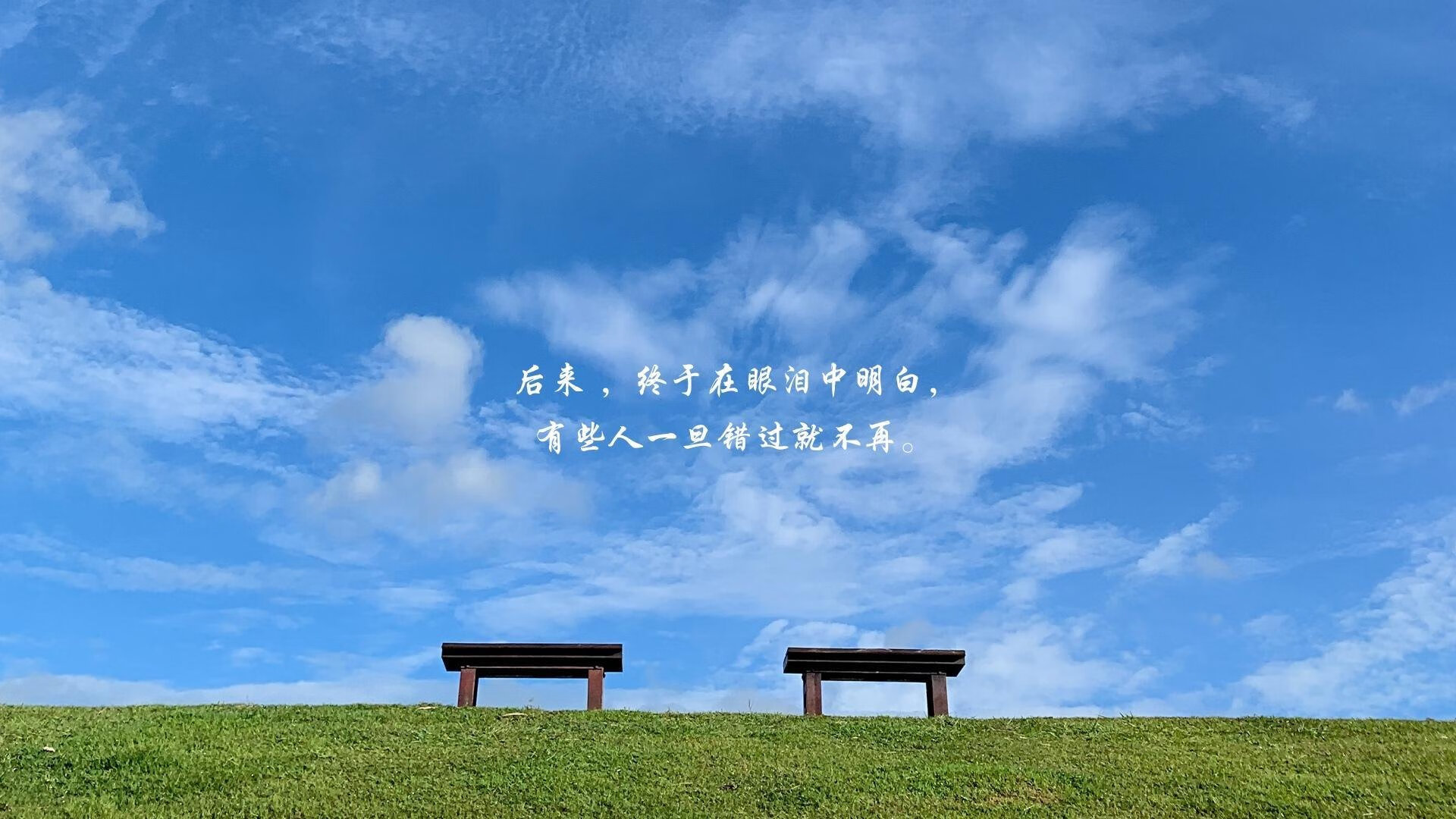 西决生死战焦点战与沙特火力压制加纳，体育激情下的双重奏