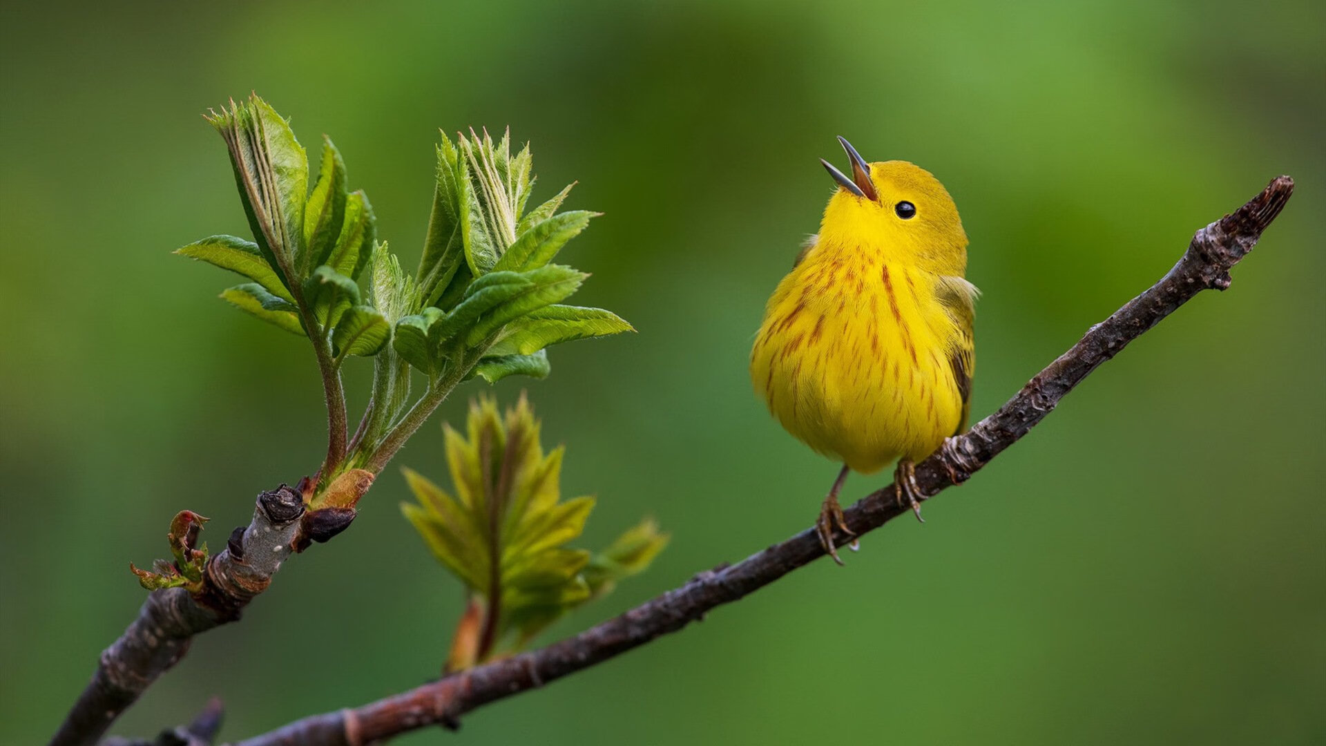 金玟哉防守封神引爆足坛，毕尔巴鄂压哨绝杀马竞谱写西甲奇迹
