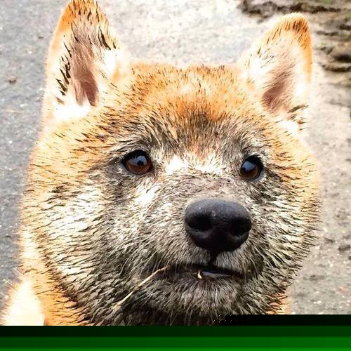 开云体育平台APP-撕裂童话的亚洲利刃，李刚仁在突尼斯对阵丹麦之战中宣告新时代来临