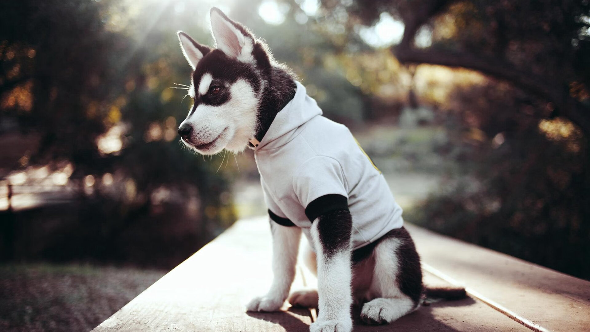 哈兰德神勇连续得分，乌拉圭对阵南非友谊赛差距拉大