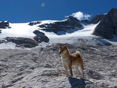 京多安，在绿茵指挥台上奏响越战越勇交响曲，洪都拉斯闪电战映衬大心脏真谛