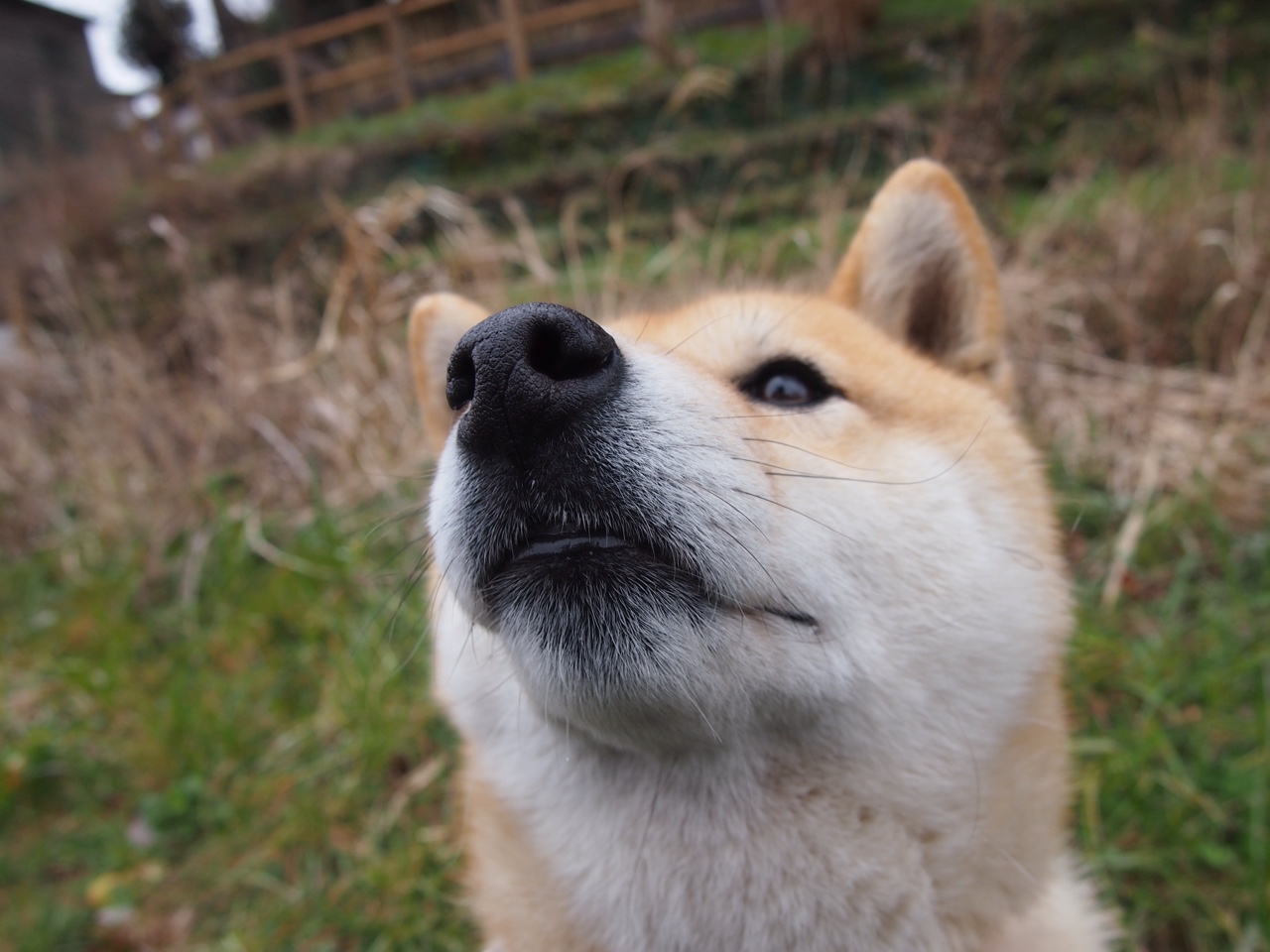 尼罗河风暴席卷伯纳乌，当埃及节奏由凯塞多谱写，对阵银河战舰