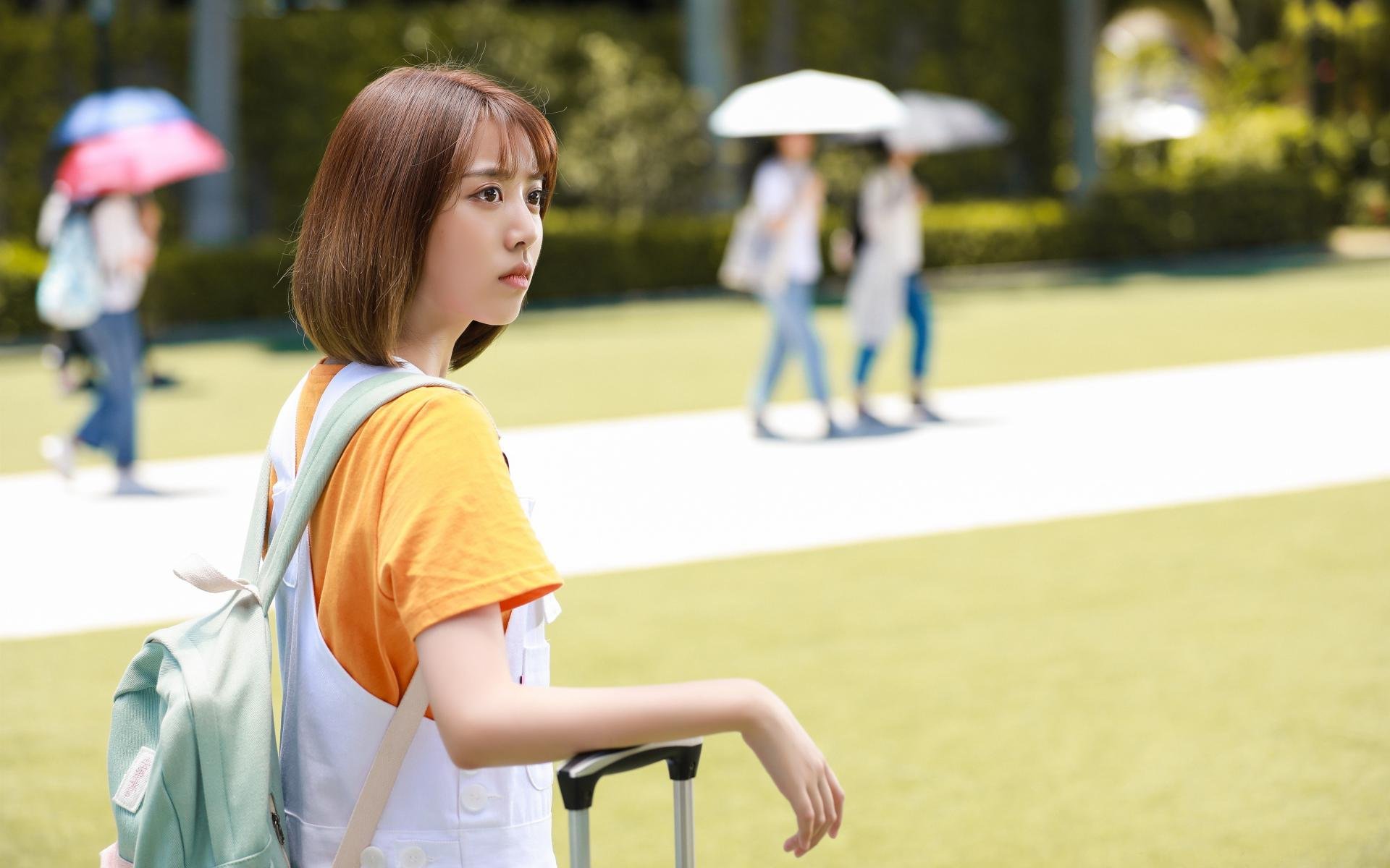 2026世界杯焦点战日，森林狼狂胜黄蜂点燃跨体育热潮