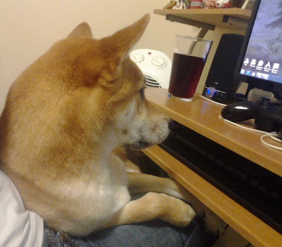 英超争冠焦点战，乌克兰锋线收割芬兰防线，冠军悬念再起波澜