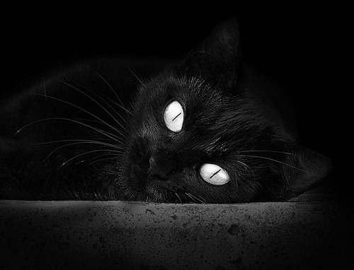 双星闪耀，卢卡库生涯之夜与中国队单节爆发共筑体育辉煌