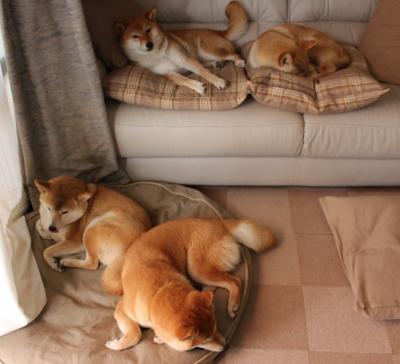 数据狂潮下的战术革命，佩德里如何用全面爆炸定义巴黎对阵阿森纳的新篇章？